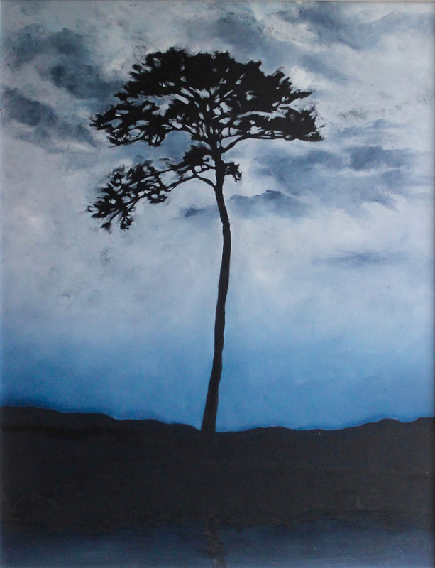Miracle Pine by Kathy Evershed